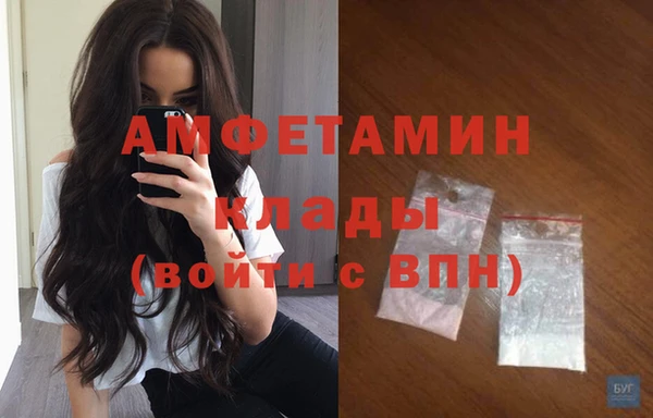 молекула духа Надым