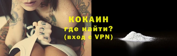 молекула духа Надым
