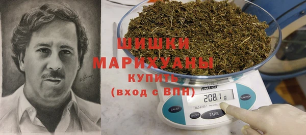 молекула духа Надым