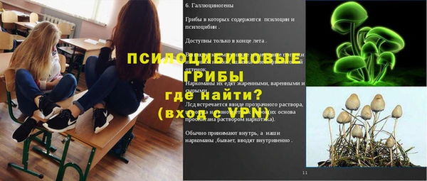 молекула духа Надым